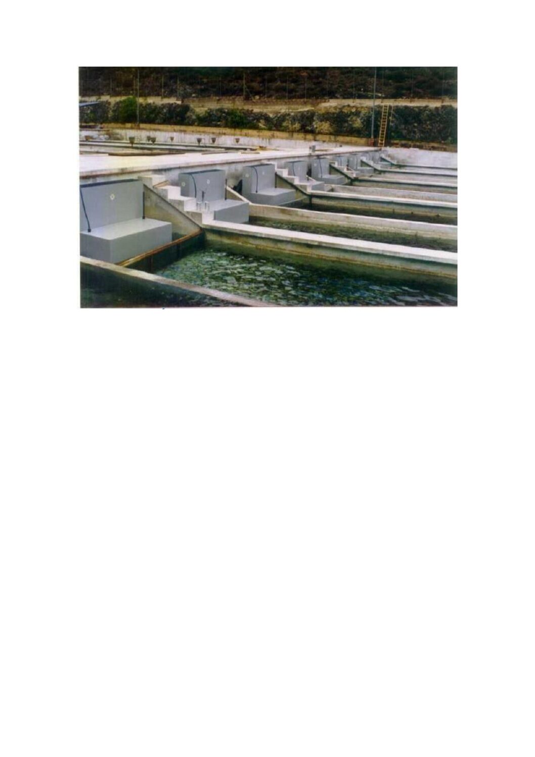 PLATAFORMAS DE OXIGENACION